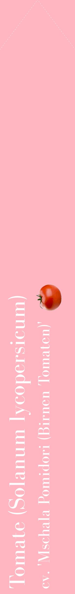Étiquette de : Solanum lycopersicum cv. 'Mschala Pomidori (Birnen Tomaten)' - format c - style blanche41_simplebod avec comestibilité simplifiée