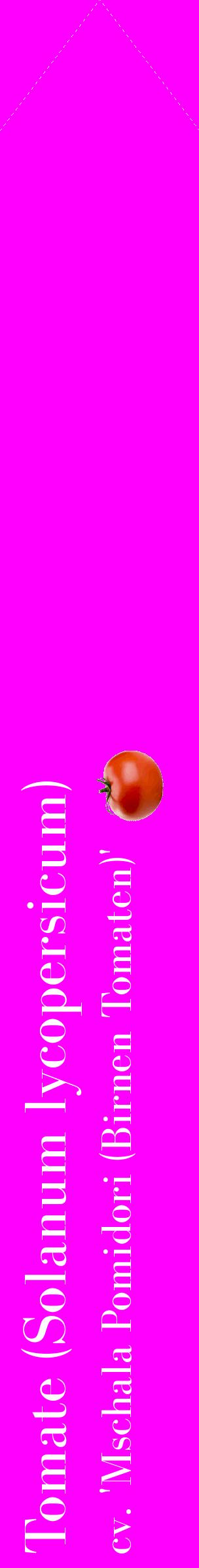 Étiquette de : Solanum lycopersicum cv. 'Mschala Pomidori (Birnen Tomaten)' - format c - style blanche51_simplebod avec comestibilité simplifiée