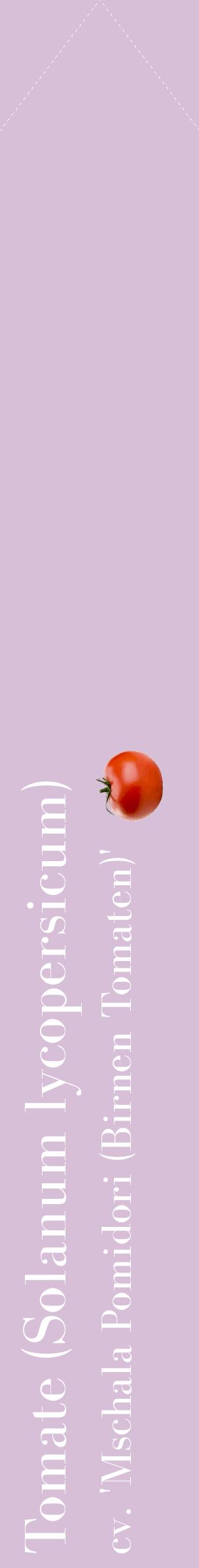 Étiquette de : Solanum lycopersicum cv. 'Mschala Pomidori (Birnen Tomaten)' - format c - style blanche54simple_simple_simplebod avec comestibilité simplifiée - position verticale