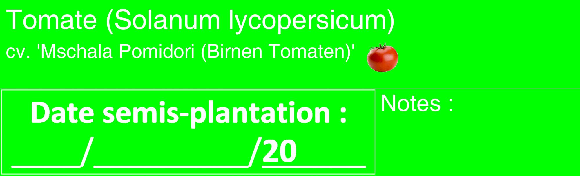 Étiquette de : Solanum lycopersicum cv. 'Mschala Pomidori (Birnen Tomaten)' - format c - style blanche16_basique_basiquehel avec comestibilité simplifiée