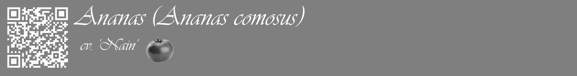 Étiquette de : Ananas comosus cv. 'Nain' - format c - style blanche31_basique_basiqueviv avec qrcode et comestibilité simplifiée