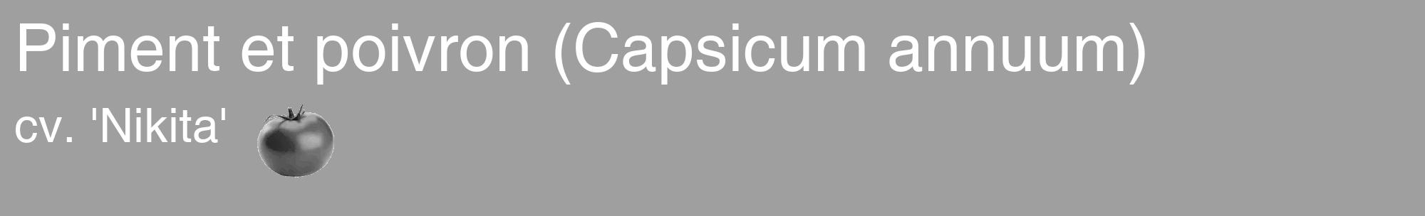 Étiquette de : Capsicum annuum cv. 'Nikita' - format c - style blanche24_basique_basiquehel avec comestibilité simplifiée
