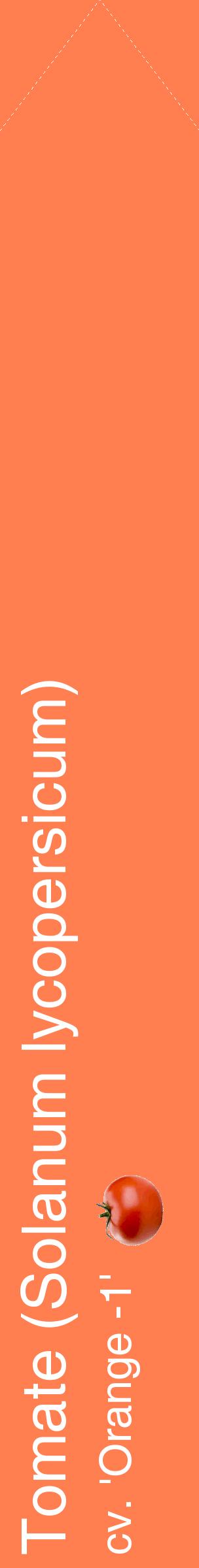 Étiquette de : Solanum lycopersicum cv. 'Orange -1' - format c - style blanche24_simplehel avec comestibilité simplifiée
