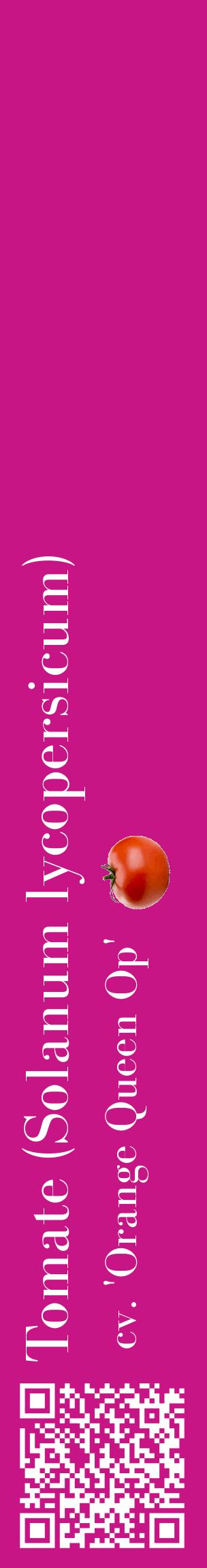 Étiquette de : Solanum lycopersicum cv. 'Orange Queen Op' - format c - style blanche45_basiquebod avec qrcode et comestibilité simplifiée