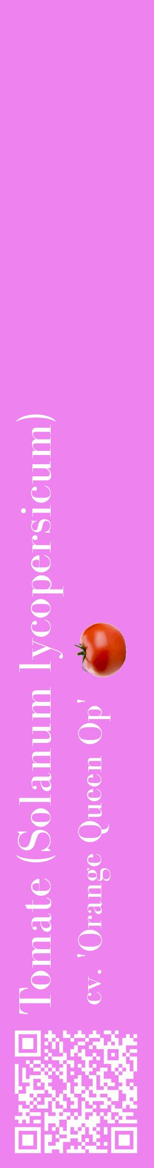 Étiquette de : Solanum lycopersicum cv. 'Orange Queen Op' - format c - style blanche53_basiquebod avec qrcode et comestibilité simplifiée