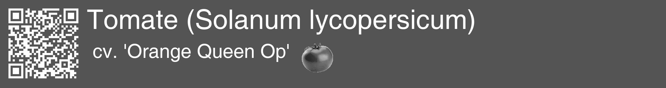 Étiquette de : Solanum lycopersicum cv. 'Orange Queen Op' - format c - style blanche36_basique_basiquehel avec qrcode et comestibilité simplifiée