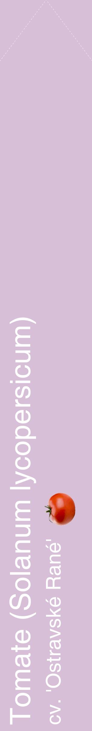 Étiquette de : Solanum lycopersicum cv. 'Ostravské Rané' - format c - style blanche54_simplehel avec comestibilité simplifiée