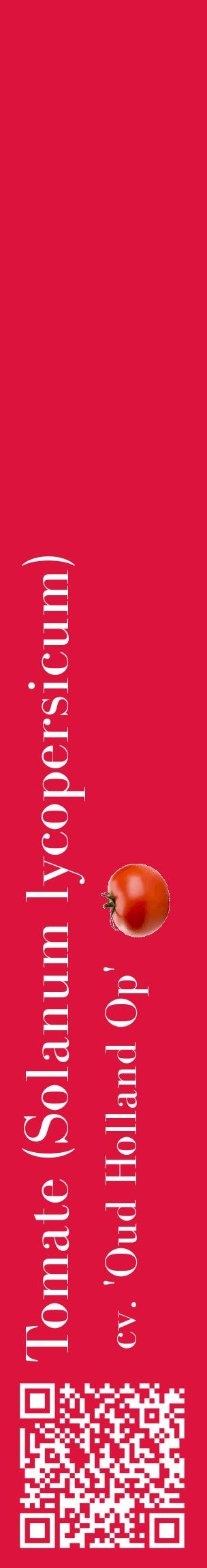 Étiquette de : Solanum lycopersicum cv. 'Oud Holland Op' - format c - style blanche36_basiquebod avec qrcode et comestibilité simplifiée