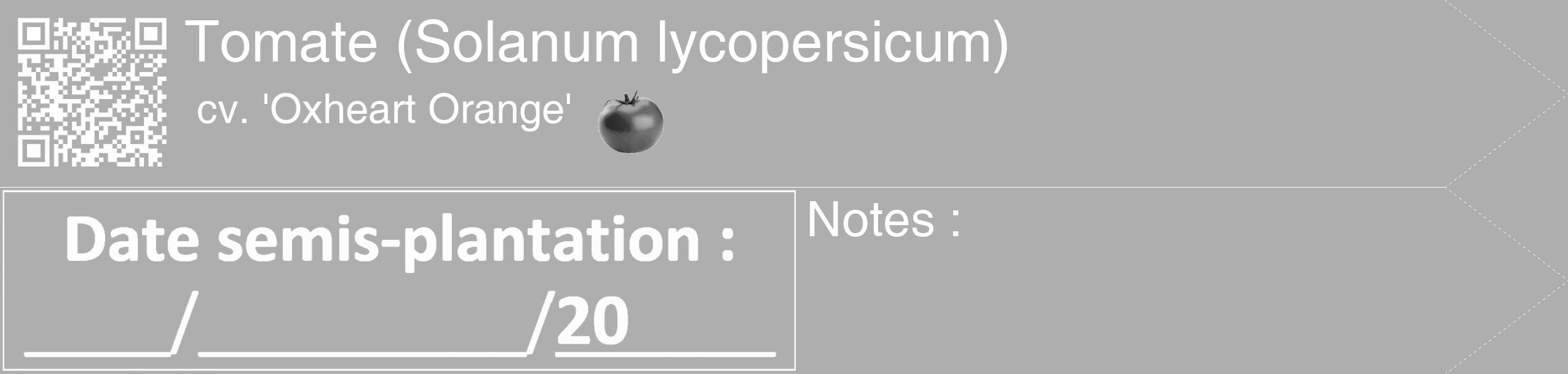 Étiquette de : Solanum lycopersicum cv. 'Oxheart Orange' - format c - style blanche53_simple_simplehel avec qrcode et comestibilité simplifiée