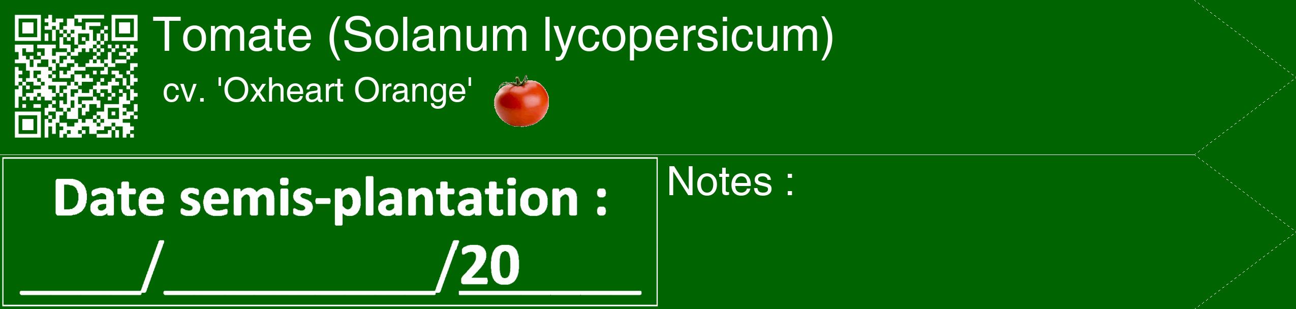 Étiquette de : Solanum lycopersicum cv. 'Oxheart Orange' - format c - style blanche8_simple_simplehel avec qrcode et comestibilité simplifiée