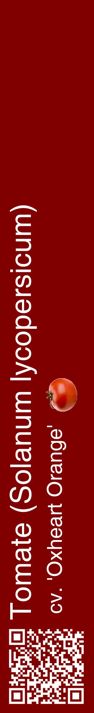 Étiquette de : Solanum lycopersicum cv. 'Oxheart Orange' - format c - style blanche29_basiquehel avec qrcode et comestibilité simplifiée