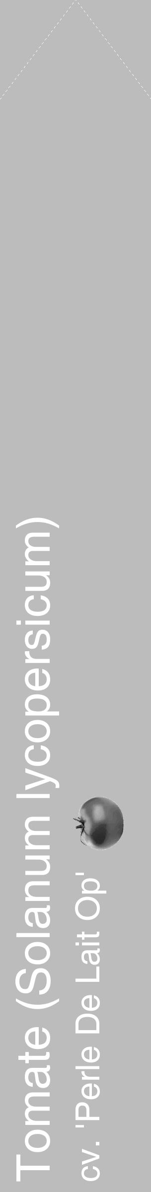 Étiquette de : Solanum lycopersicum cv. 'Perle De Lait Op' - format c - style blanche1simple_simple_simplehel avec comestibilité simplifiée - position verticale