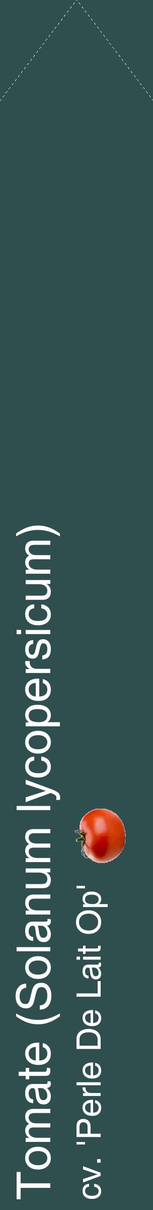 Étiquette de : Solanum lycopersicum cv. 'Perle De Lait Op' - format c - style blanche58_simplehel avec comestibilité simplifiée