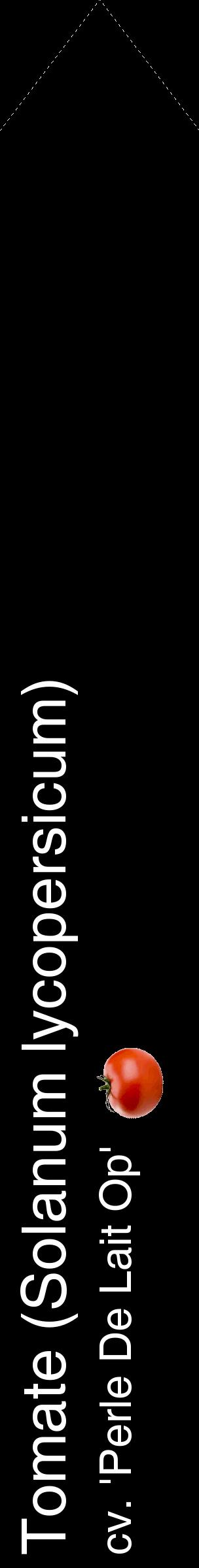 Étiquette de : Solanum lycopersicum cv. 'Perle De Lait Op' - format c - style blanche59_simplehel avec comestibilité simplifiée