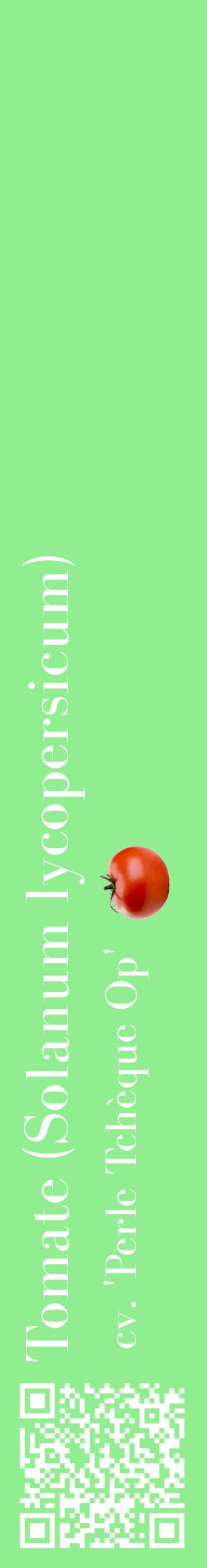 Étiquette de : Solanum lycopersicum cv. 'Perle Tchèque Op' - format c - style blanche15_basiquebod avec qrcode et comestibilité simplifiée