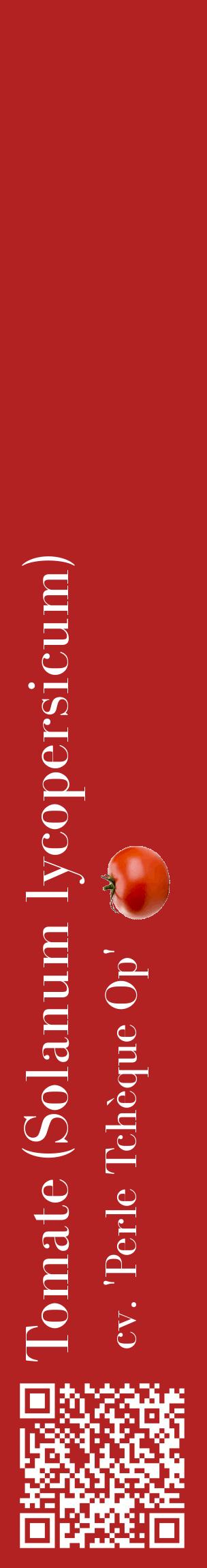 Étiquette de : Solanum lycopersicum cv. 'Perle Tchèque Op' - format c - style blanche28_basiquebod avec qrcode et comestibilité simplifiée