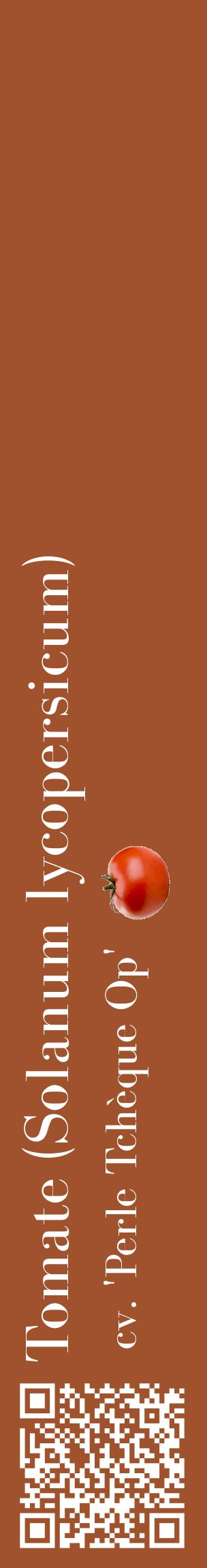 Étiquette de : Solanum lycopersicum cv. 'Perle Tchèque Op' - format c - style blanche32_basiquebod avec qrcode et comestibilité simplifiée