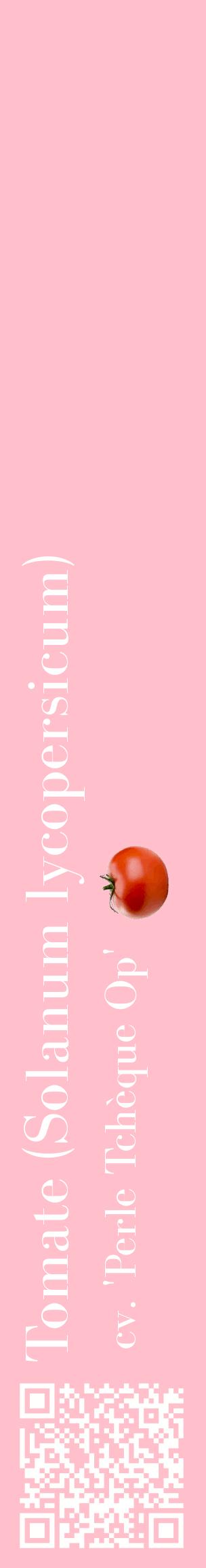 Étiquette de : Solanum lycopersicum cv. 'Perle Tchèque Op' - format c - style blanche40_basiquebod avec qrcode et comestibilité simplifiée