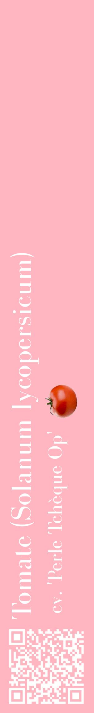 Étiquette de : Solanum lycopersicum cv. 'Perle Tchèque Op' - format c - style blanche41_basiquebod avec qrcode et comestibilité simplifiée