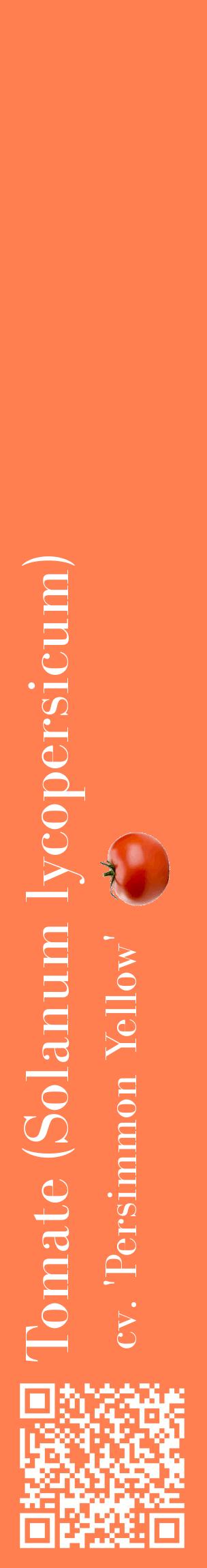 Étiquette de : Solanum lycopersicum cv. 'Persimmon Yellow' - format c - style blanche24_basiquebod avec qrcode et comestibilité simplifiée