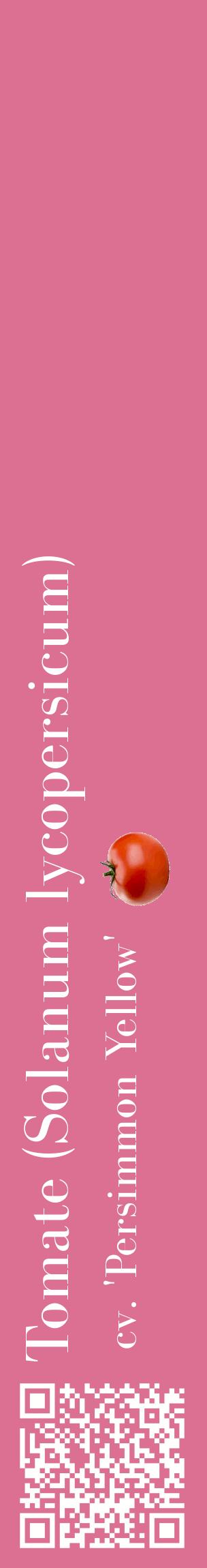 Étiquette de : Solanum lycopersicum cv. 'Persimmon Yellow' - format c - style blanche44_basiquebod avec qrcode et comestibilité simplifiée