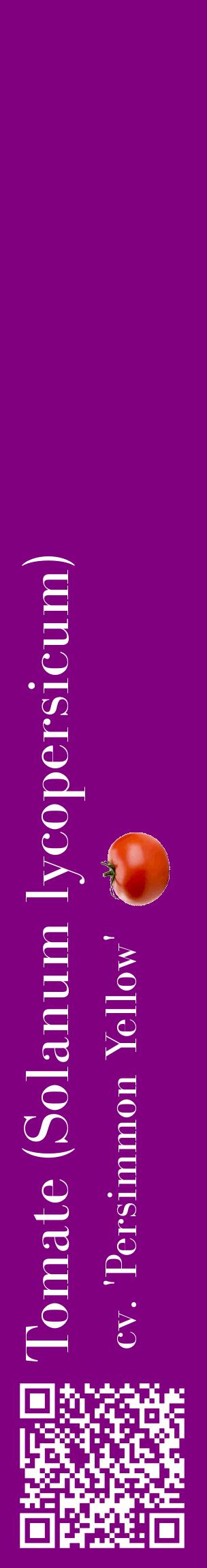 Étiquette de : Solanum lycopersicum cv. 'Persimmon Yellow' - format c - style blanche46_basiquebod avec qrcode et comestibilité simplifiée