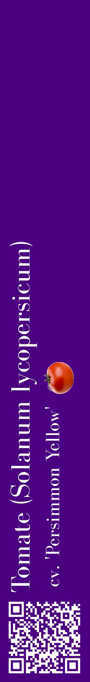 Étiquette de : Solanum lycopersicum cv. 'Persimmon Yellow' - format c - style blanche47_basiquebod avec qrcode et comestibilité simplifiée