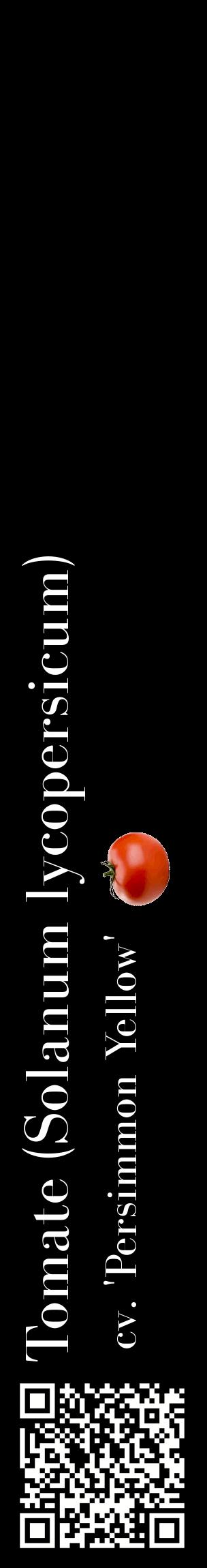 Étiquette de : Solanum lycopersicum cv. 'Persimmon Yellow' - format c - style blanche59_basiquebod avec qrcode et comestibilité simplifiée