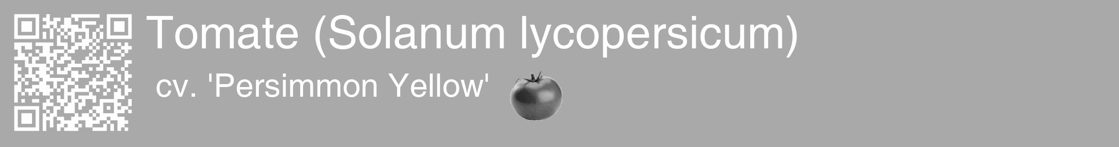 Étiquette de : Solanum lycopersicum cv. 'Persimmon Yellow' - format c - style blanche13_basique_basiquehel avec qrcode et comestibilité simplifiée