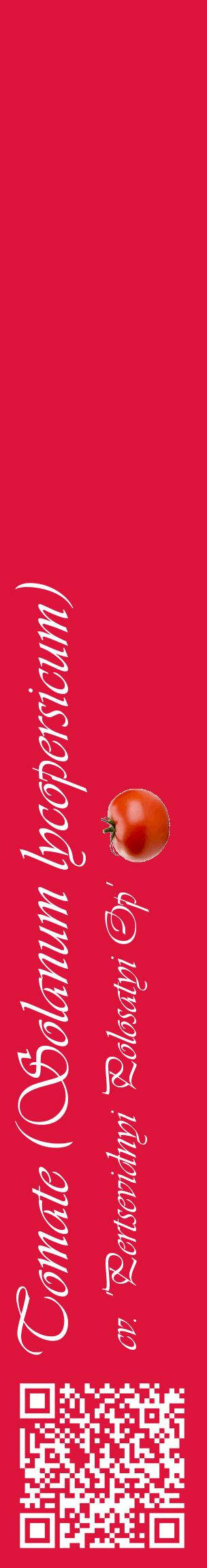 Étiquette de : Solanum lycopersicum cv. 'Pertsevidnyi Polosatyi Op' - format c - style blanche36_basiqueviv avec qrcode et comestibilité simplifiée