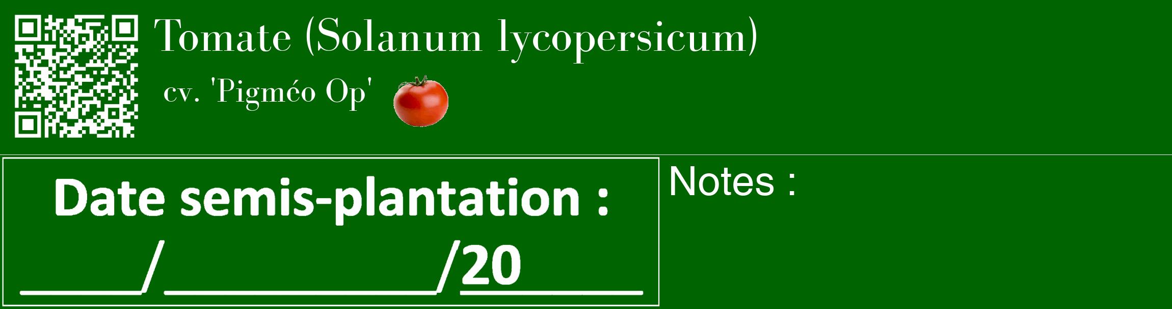 Étiquette de : Solanum lycopersicum cv. 'Pigméo Op' - format c - style blanche8_basique_basiquebod avec qrcode et comestibilité simplifiée