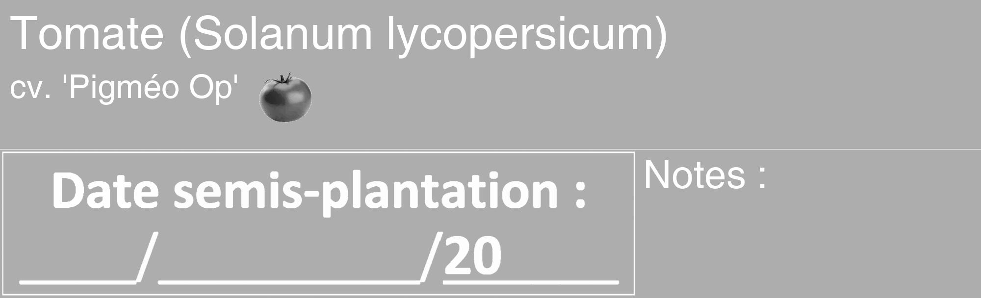 Étiquette de : Solanum lycopersicum cv. 'Pigméo Op' - format c - style blanche22_basique_basiquehel avec comestibilité simplifiée
