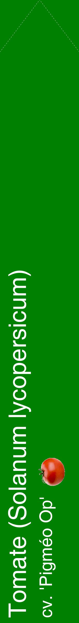 Étiquette de : Solanum lycopersicum cv. 'Pigméo Op' - format c - style blanche9_simplehel avec comestibilité simplifiée