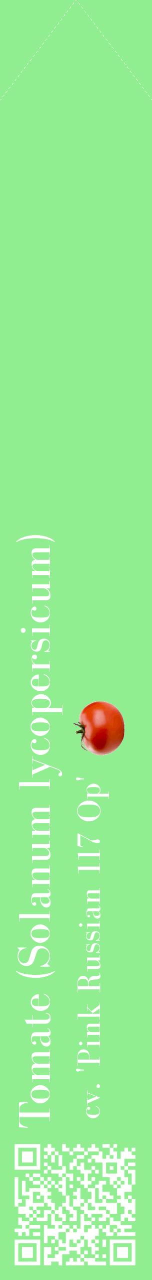 Étiquette de : Solanum lycopersicum cv. 'Pink Russian 117 Op' - format c - style blanche15_simplebod avec qrcode et comestibilité simplifiée