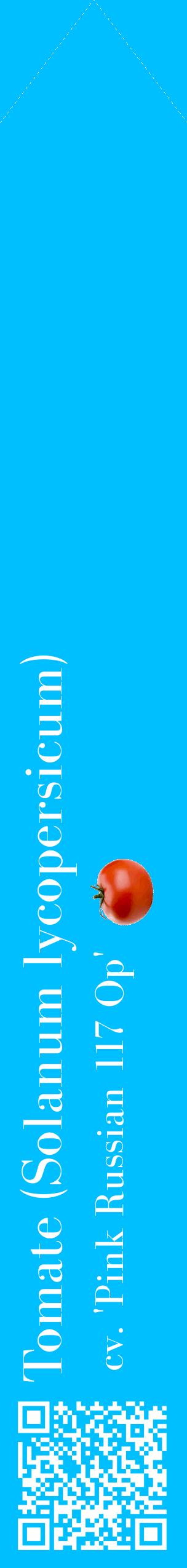 Étiquette de : Solanum lycopersicum cv. 'Pink Russian 117 Op' - format c - style blanche2_simplebod avec qrcode et comestibilité simplifiée