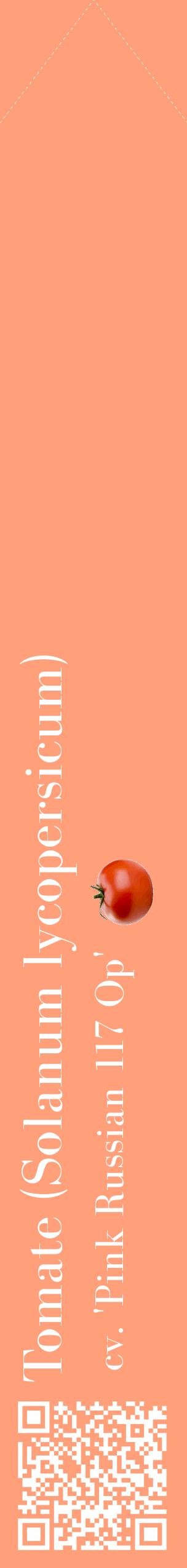 Étiquette de : Solanum lycopersicum cv. 'Pink Russian 117 Op' - format c - style blanche39_simplebod avec qrcode et comestibilité simplifiée