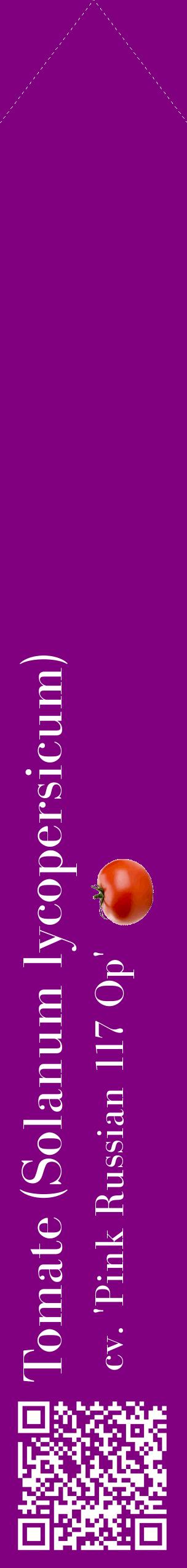 Étiquette de : Solanum lycopersicum cv. 'Pink Russian 117 Op' - format c - style blanche46_simplebod avec qrcode et comestibilité simplifiée