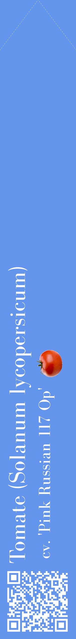 Étiquette de : Solanum lycopersicum cv. 'Pink Russian 117 Op' - format c - style blanche4_simplebod avec qrcode et comestibilité simplifiée