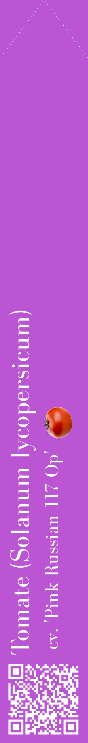 Étiquette de : Solanum lycopersicum cv. 'Pink Russian 117 Op' - format c - style blanche50_simplebod avec qrcode et comestibilité simplifiée