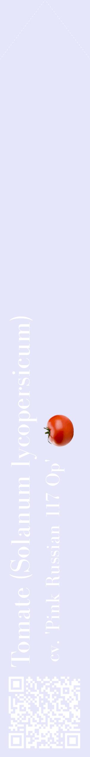 Étiquette de : Solanum lycopersicum cv. 'Pink Russian 117 Op' - format c - style blanche55_simplebod avec qrcode et comestibilité simplifiée
