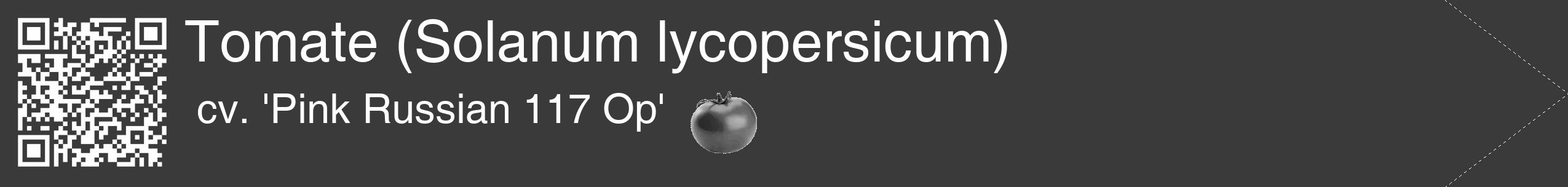 Étiquette de : Solanum lycopersicum cv. 'Pink Russian 117 Op' - format c - style blanche8_simple_simplehel avec qrcode et comestibilité simplifiée