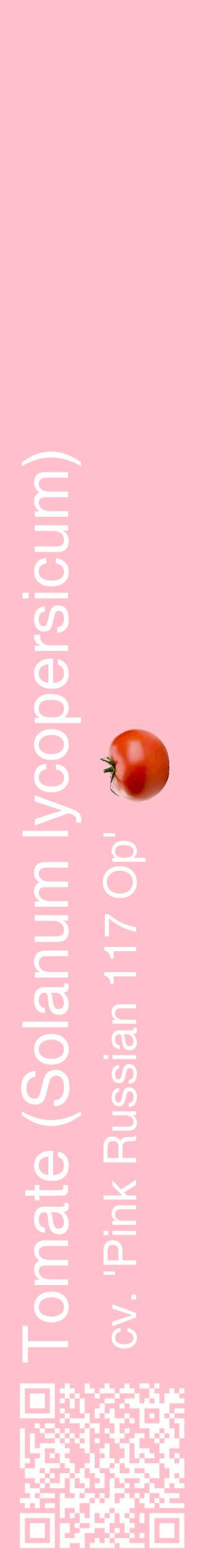 Étiquette de : Solanum lycopersicum cv. 'Pink Russian 117 Op' - format c - style blanche40_basiquehel avec qrcode et comestibilité simplifiée