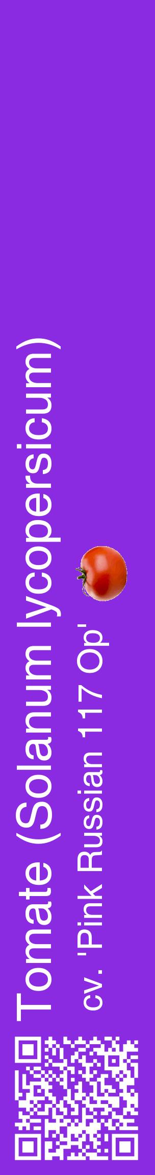 Étiquette de : Solanum lycopersicum cv. 'Pink Russian 117 Op' - format c - style blanche49_basiquehel avec qrcode et comestibilité simplifiée