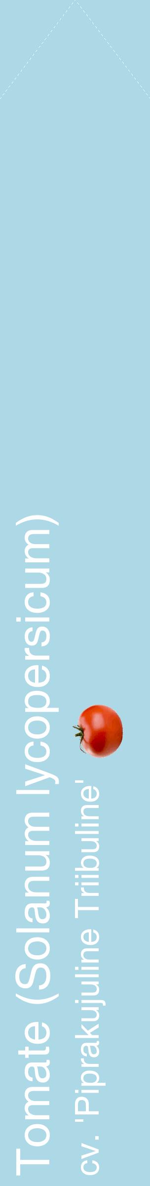 Étiquette de : Solanum lycopersicum cv. 'Piprakujuline Triibuline' - format c - style blanche0_simplehel avec comestibilité simplifiée