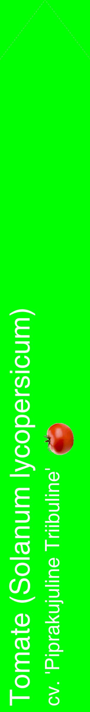 Étiquette de : Solanum lycopersicum cv. 'Piprakujuline Triibuline' - format c - style blanche16_simplehel avec comestibilité simplifiée