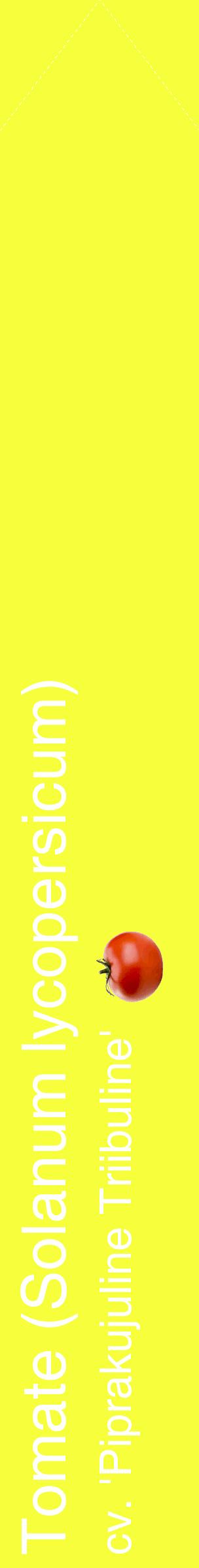 Étiquette de : Solanum lycopersicum cv. 'Piprakujuline Triibuline' - format c - style blanche18_simplehel avec comestibilité simplifiée