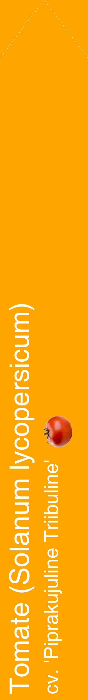 Étiquette de : Solanum lycopersicum cv. 'Piprakujuline Triibuline' - format c - style blanche22_simplehel avec comestibilité simplifiée