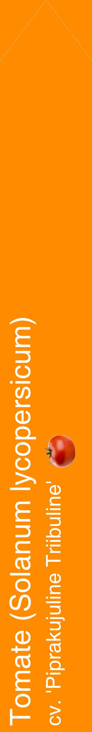 Étiquette de : Solanum lycopersicum cv. 'Piprakujuline Triibuline' - format c - style blanche23_simplehel avec comestibilité simplifiée