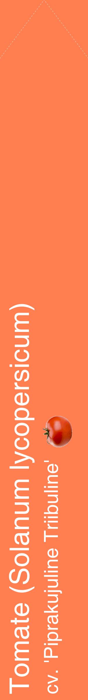 Étiquette de : Solanum lycopersicum cv. 'Piprakujuline Triibuline' - format c - style blanche24_simplehel avec comestibilité simplifiée