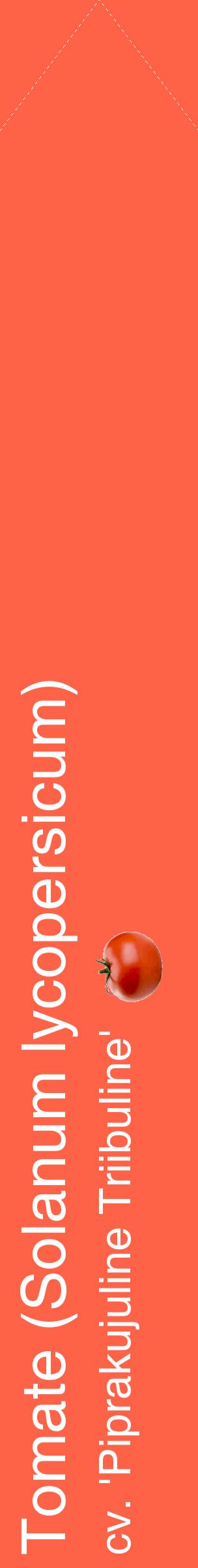 Étiquette de : Solanum lycopersicum cv. 'Piprakujuline Triibuline' - format c - style blanche25_simplehel avec comestibilité simplifiée